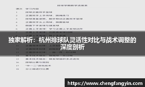 独家解析：杭州排球队灵活性对比与战术调整的深度剖析
